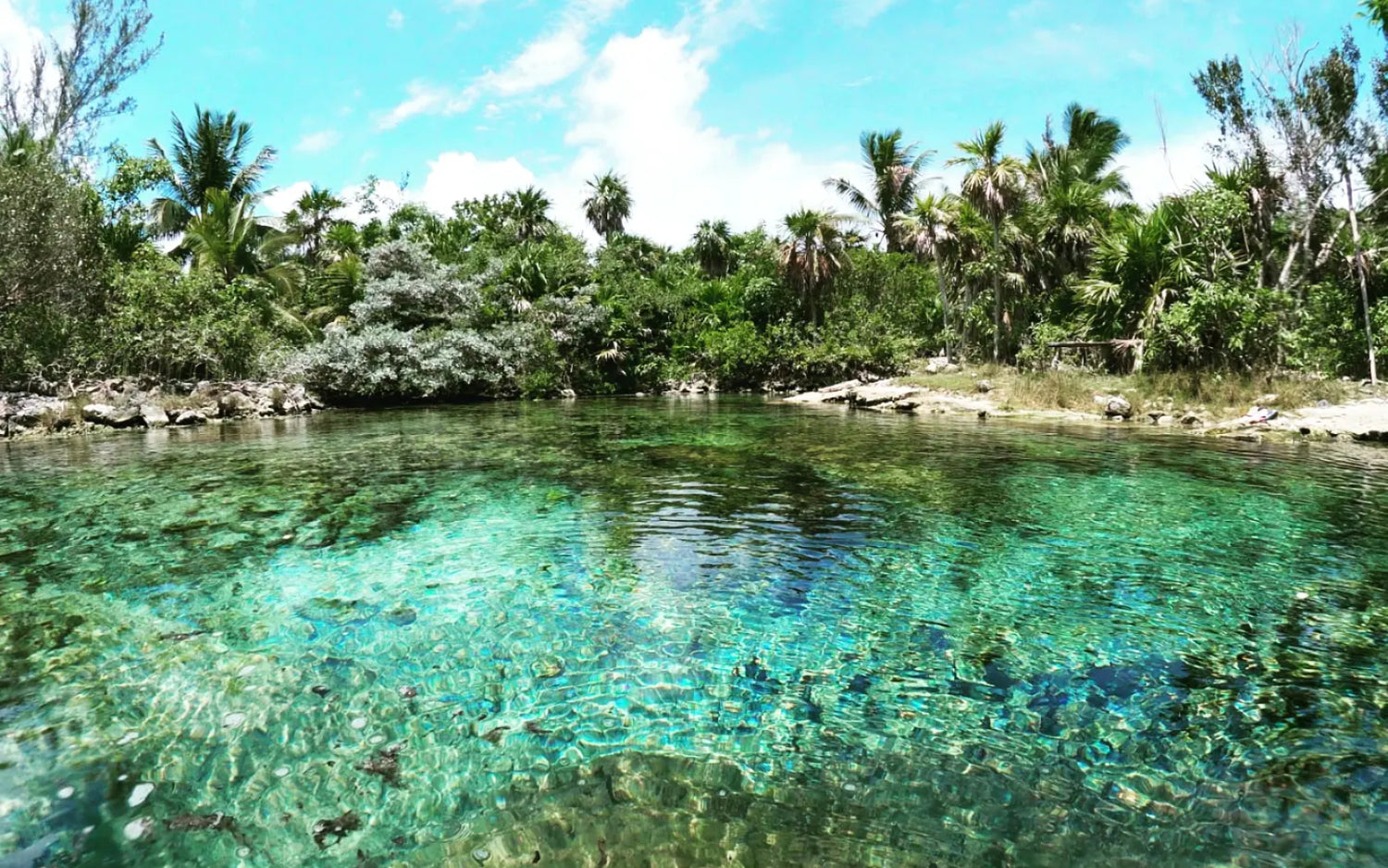 Private Cenote